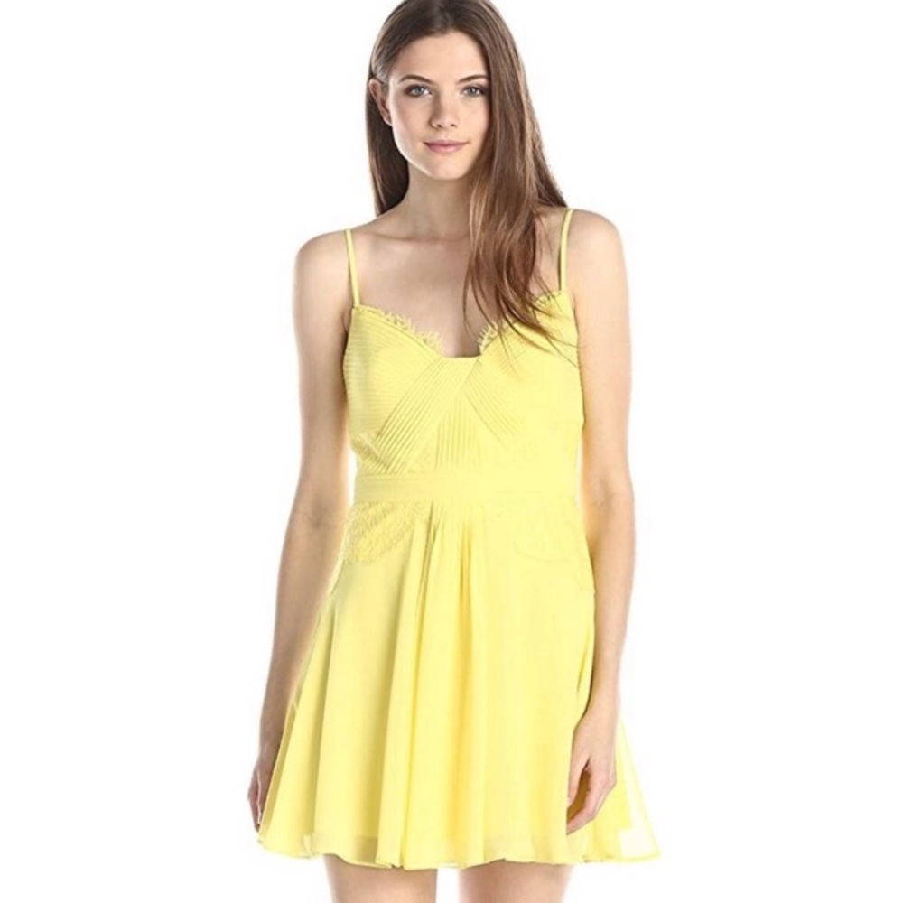 BCBGMaxazria Katalina Chiffon and Lace Dress